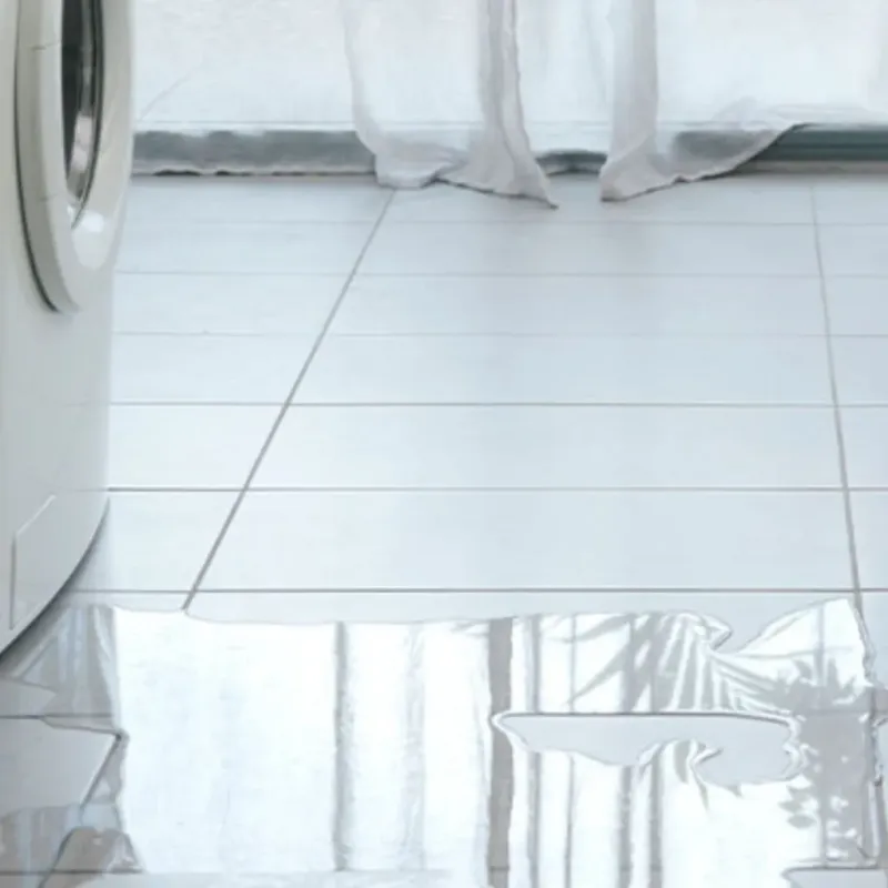 Appliance Leak Cleanup in Trinity County, CA