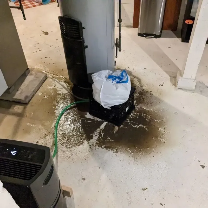 Sewage Backup Cleanup Service in Trinity County, CA
